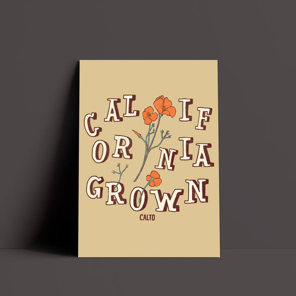 CA Grown Poppies Cream Poster-CA LIMITED