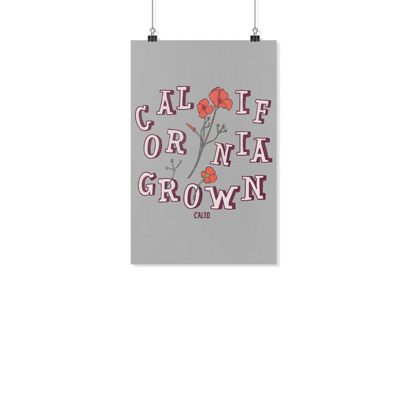 CA Grown Poppies Grey Poster-CA LIMITED