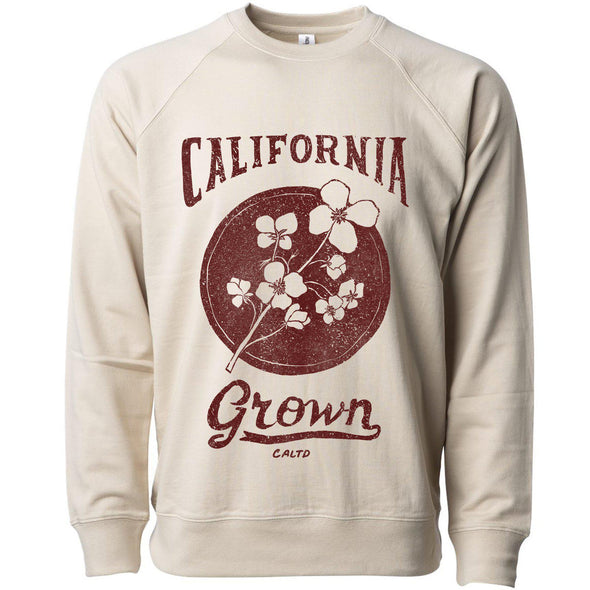 California Grown Circle Raglan Sweater-CA LIMITED