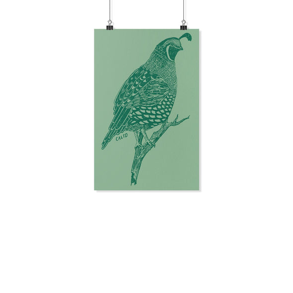 Quail Summer Green Poster-CA LIMITED