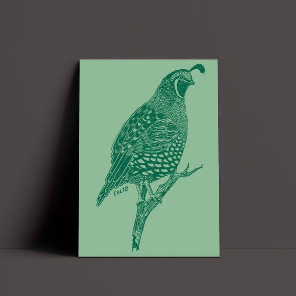 Quail Summer Green Poster-CA LIMITED